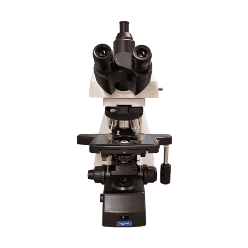 Microscopios